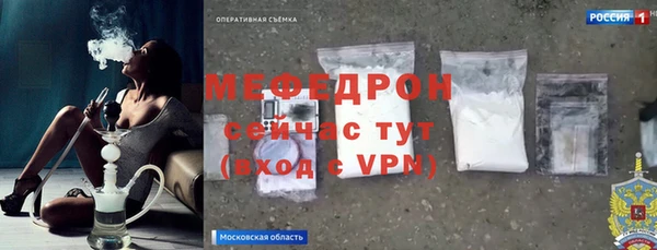 индика Карпинск