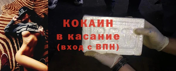 индика Карпинск