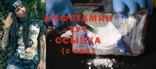 индика Карпинск