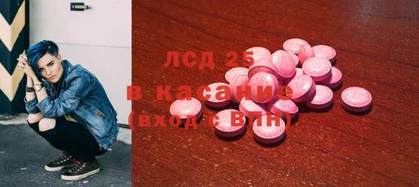 индика Карпинск