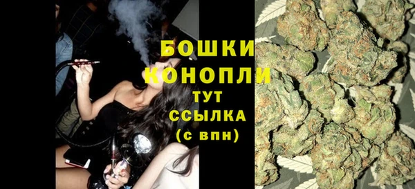 spice Новодвинск