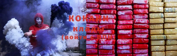 индика Карпинск