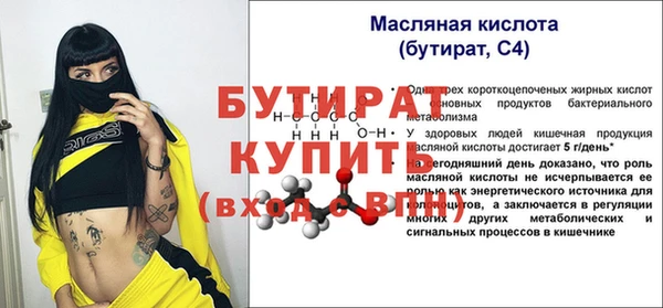 индика Карпинск