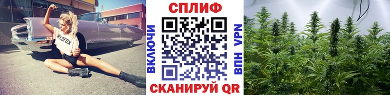 Канабис индика  купить  сайты  МЕГА как войти  Ковдор 